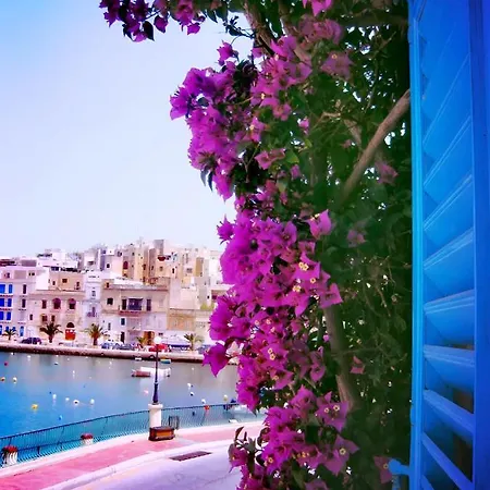 1500 Little Pink House In Creek Vakantiehuis